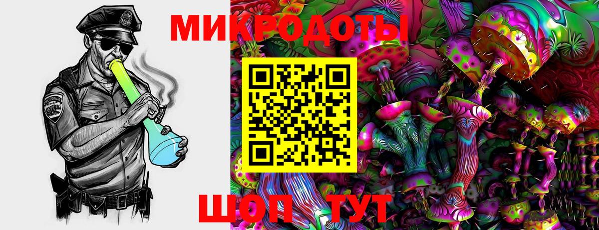 Псилоцибиновые грибы прущие грибы Малгобек